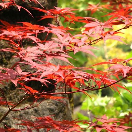 Usuki Yunosato Hotel Saiki Eksteriør billede